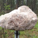 VIDEO: How to Hog-Proof a Mineral Rock