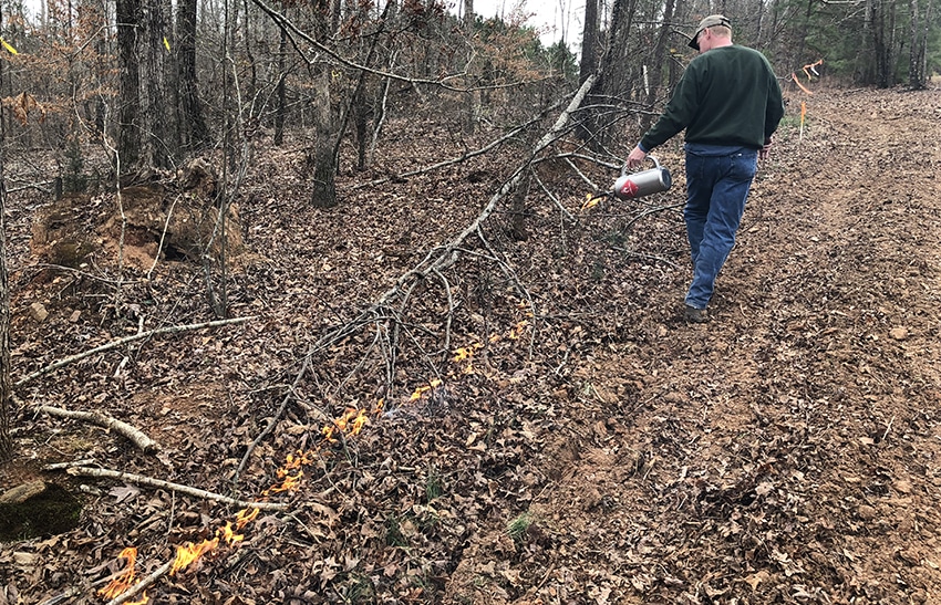 Forest Stand Improvement Nda Fire National Deer Association