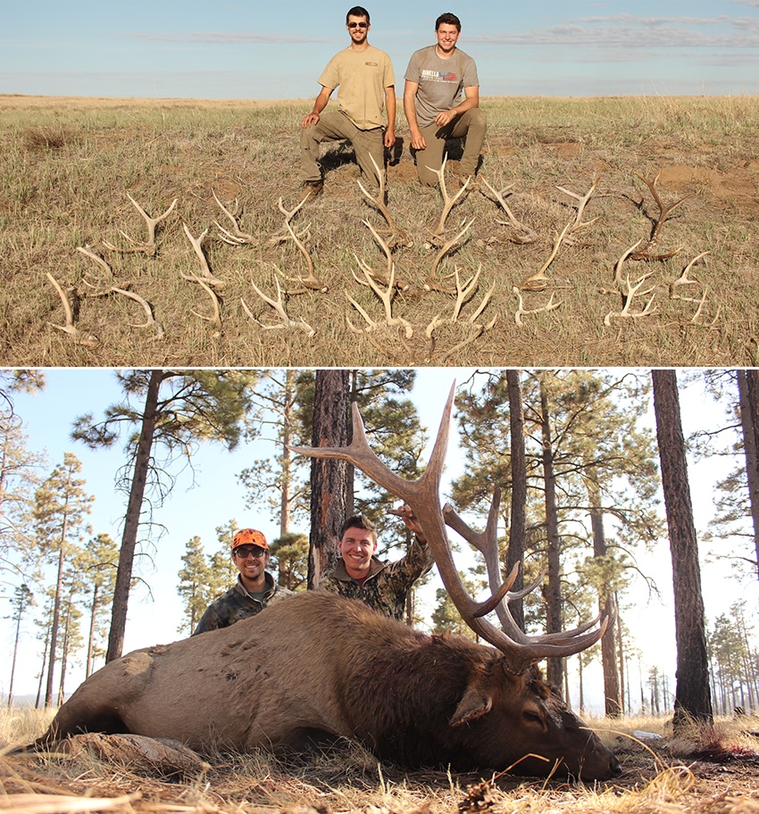 elk shed hunting trips